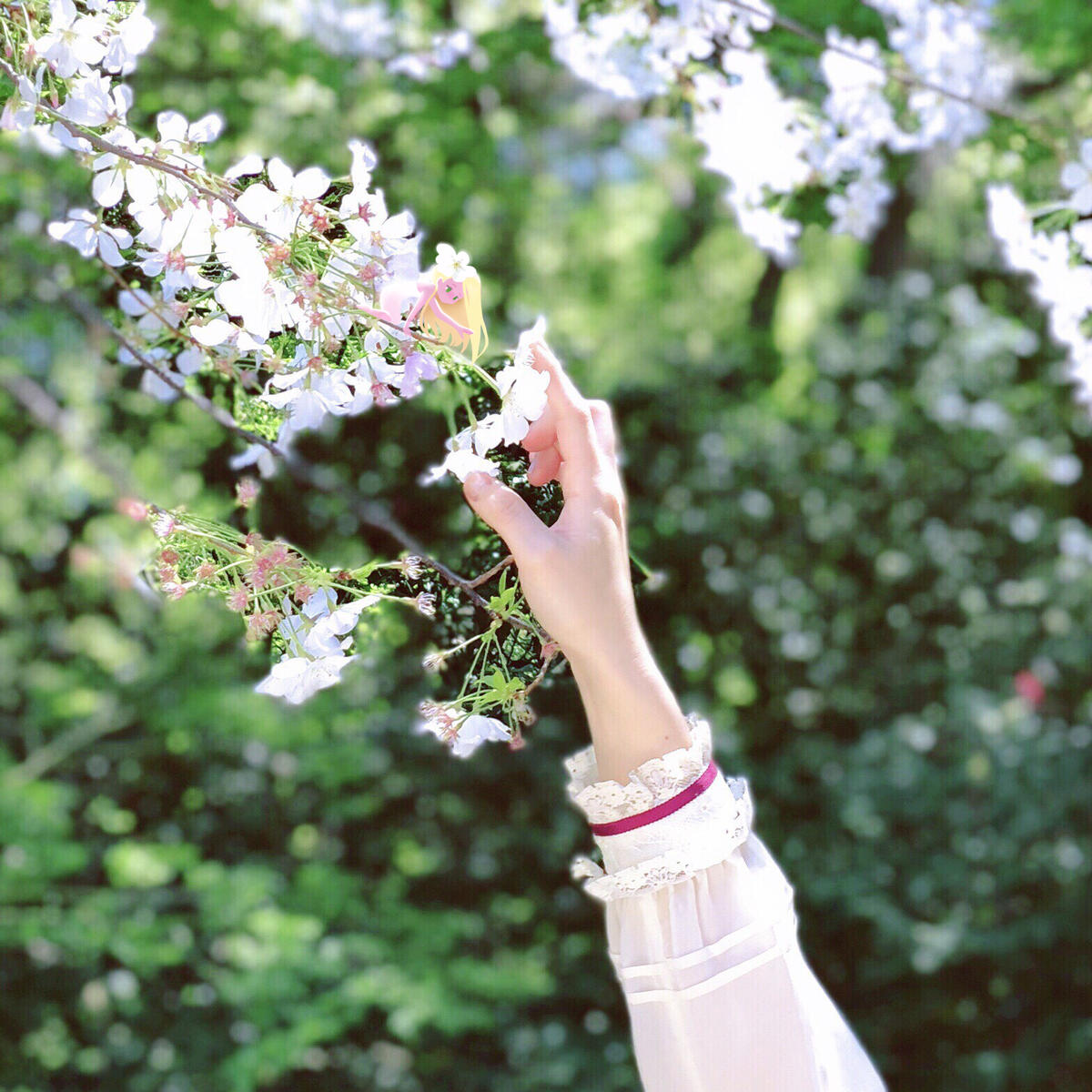 Iroha by Cats on Mars